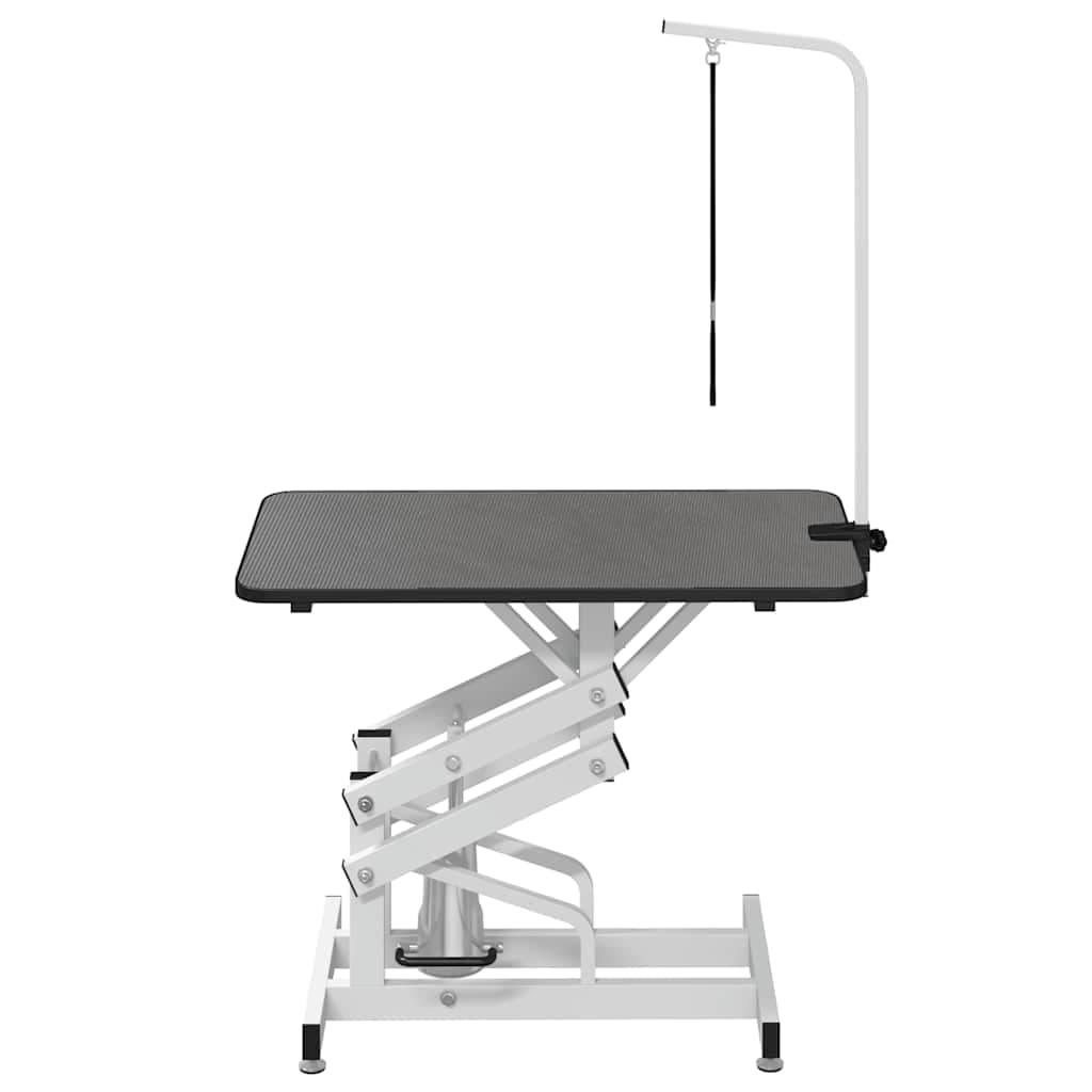 vidaXL Hydraulisch verstelbare trimtafel aanlijnoptie - foto 4