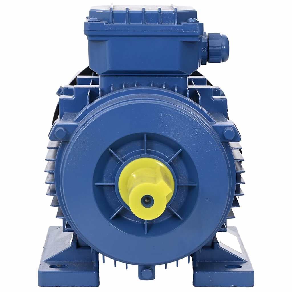 vidaXL Elektromotor 3 fase 4 kW/5,5 pk 2-polig 2840 rpm aluminium - foto 2