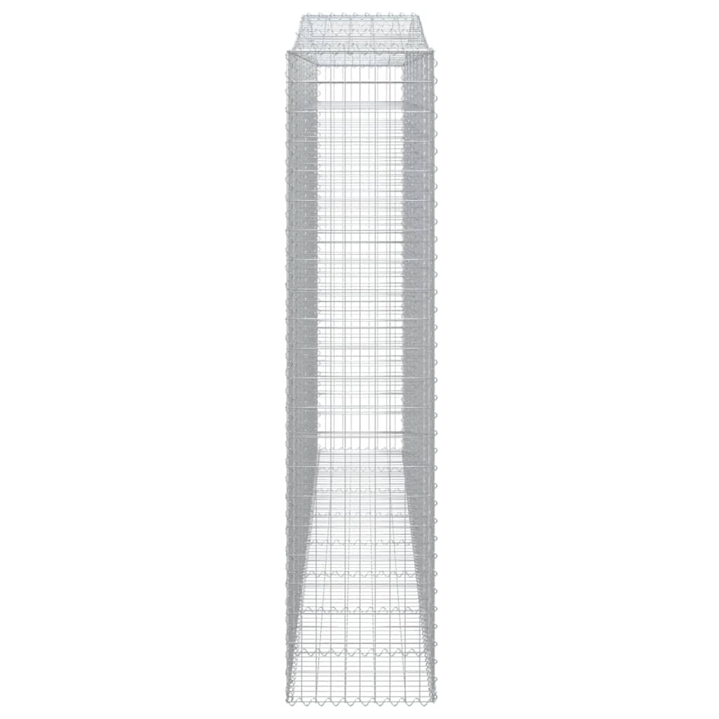 vidaXL Schanskorf gewelfd 400x50x220/ ijzer - foto 4